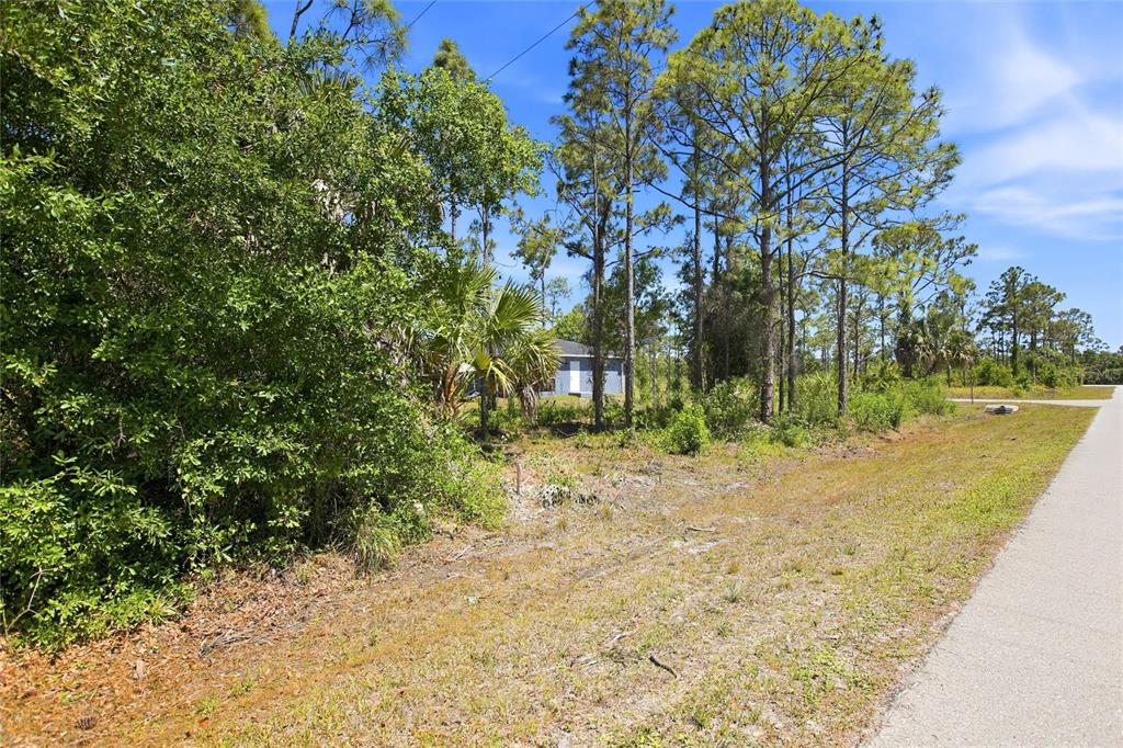 A vacant, wooded residential lot sits next to a paved road under a blue sky — 27396 CORINTHIAN, DR, PUNTA GORDA, FL
