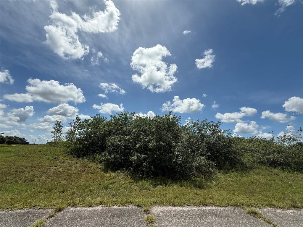 A grassy lot with a large bush under a blue sky with scattered clouds — 113 LIBERTY TERRACE, LABELLE, FL