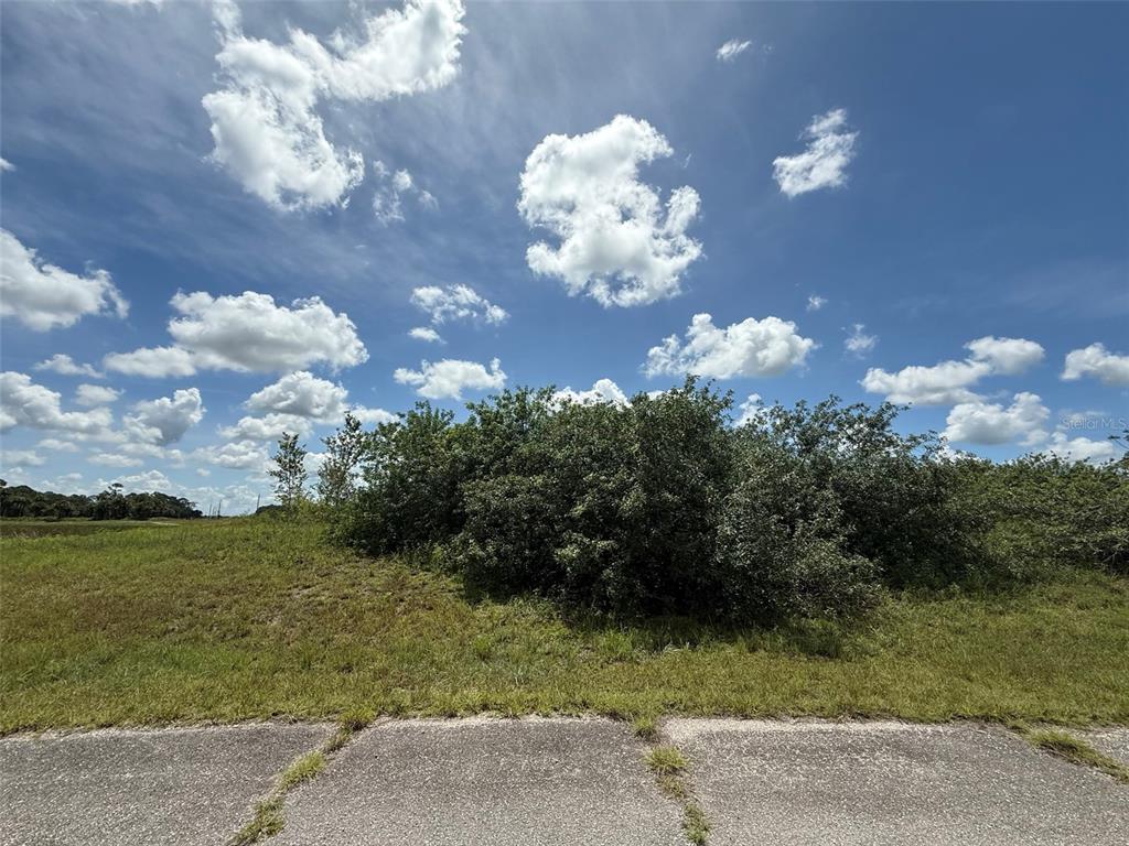 A grassy lot with a large bush under a blue sky with scattered clouds — 113 LIBERTY TERRACE, LABELLE, FL