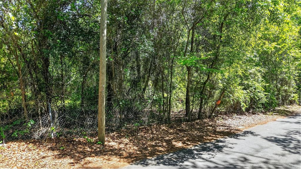A wooded lot with a utility pole and chain-link fence borders a paved road — TBD SE 2ND AVENUE, GAINESVILLE, FL