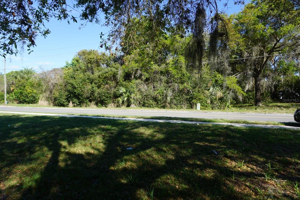 PALMETTO STREET