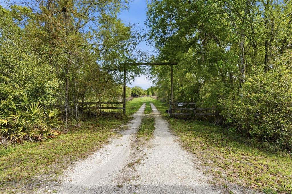 32400 TAYLOR GRADE ROAD, DUETTE, FL — photo 2 of 15