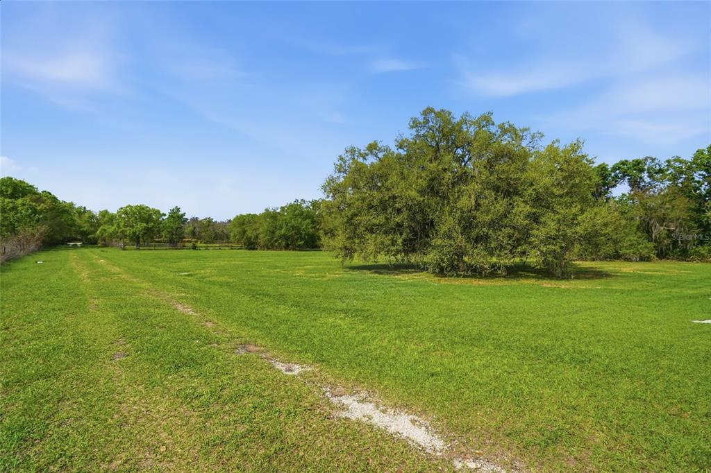 32400 TAYLOR GRADE ROAD, DUETTE, FL — photo 5 of 15