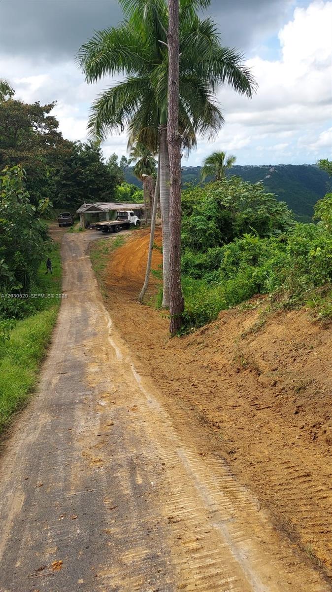 A dirt road leads toward a house and a truck in a hilly, tropical landscape — #22, Bo Vaga vaga, PR 00687, PR