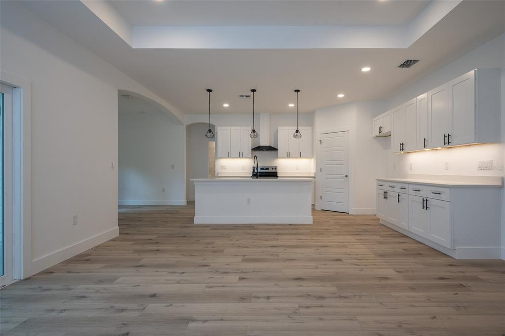 A modern kitchen features white cabinetry, a central island, and light wood-look flooring — 832 NW 5TH STREET, MICANOPY, FL