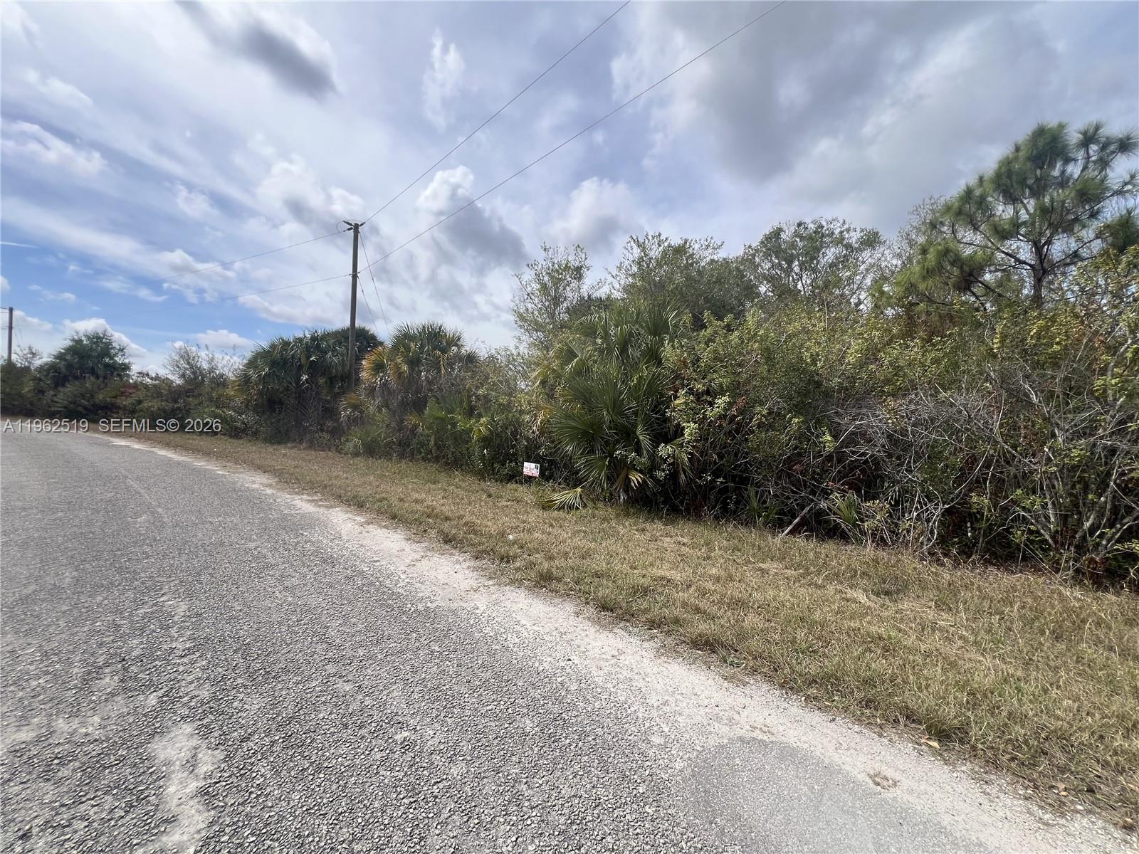 A paved road runs alongside a vacant, overgrown lot with trees and shrubs — 1913 Roderick Ln, Lehigh Acres FL 33972, LEHIGH ACRES, FL
