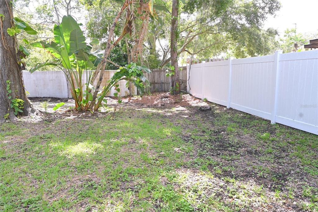 A backyard features a white vinyl fence, a large tree, and a tropical plant — 1976 DEBBIE STREET, SARASOTA, FL