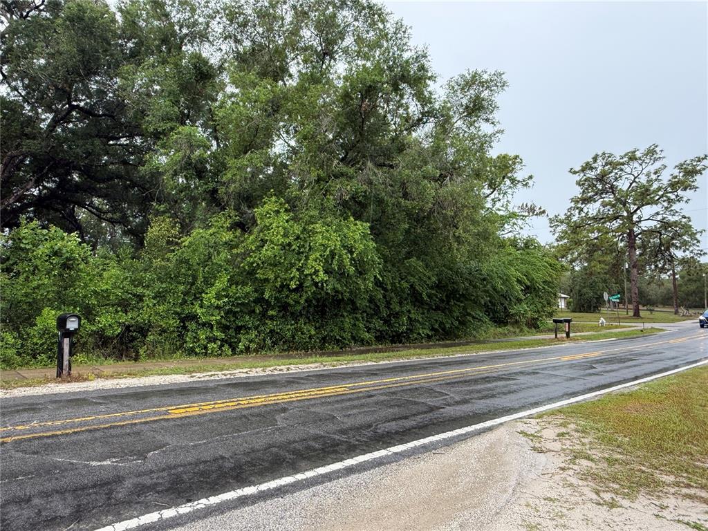 A paved road runs alongside a densely wooded lot with two mailboxes — 34184 RIDGE MANOR BLVD, DADE CITY, FL