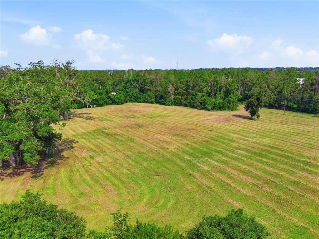 An aerial view shows a large, mowed grassy field bordered by dense trees and forest — 14502 NW 132ND PLACE, ALACHUA, FL