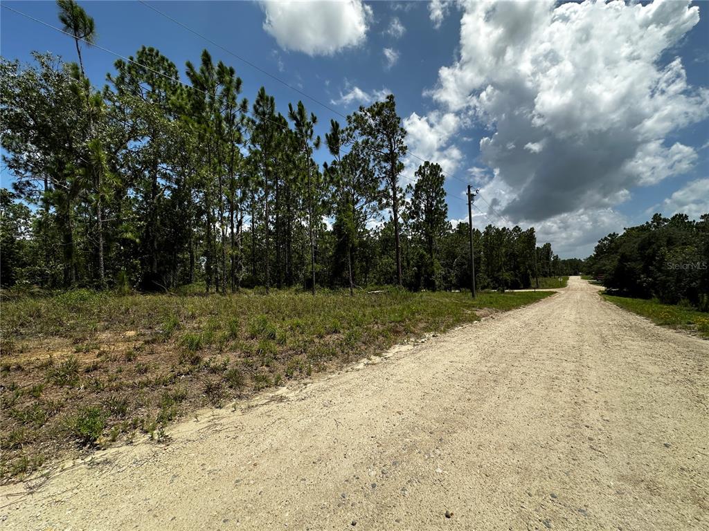 A dirt road runs alongside a wooded lot under a blue sky with clouds — 150 SE 144TH AVENUE, WILLISTON, FL