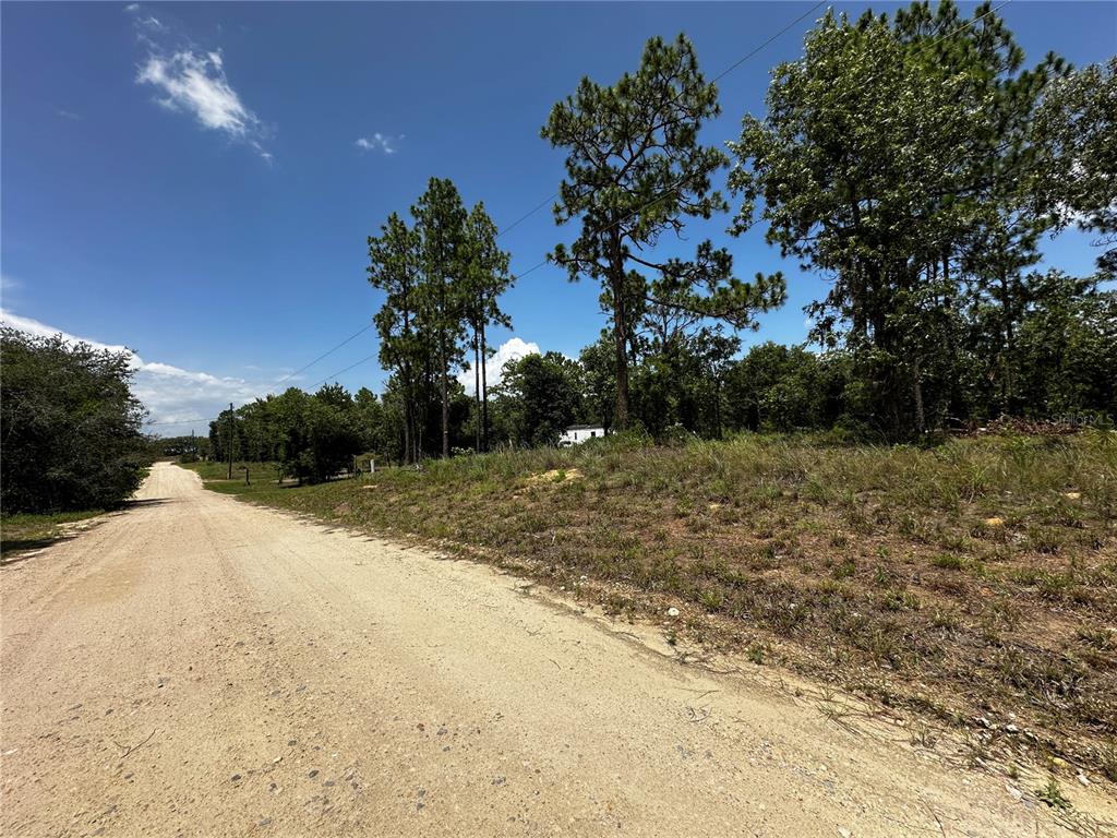 A dirt road runs alongside a grassy, wooded lot under a bright blue sky — 150 SE 144TH AVENUE, WILLISTON, FL