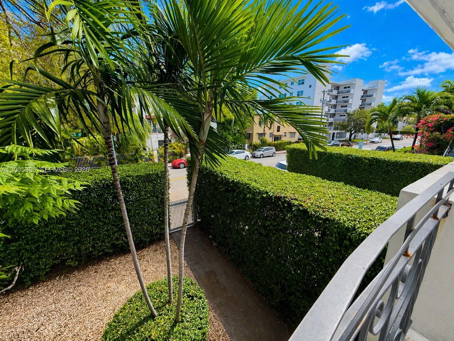 A view from a balcony overlooking a palm tree, a hedge, and a street — 1005 9th St # 2, Miami Beach FL 33139, MIAMI BEACH, FL