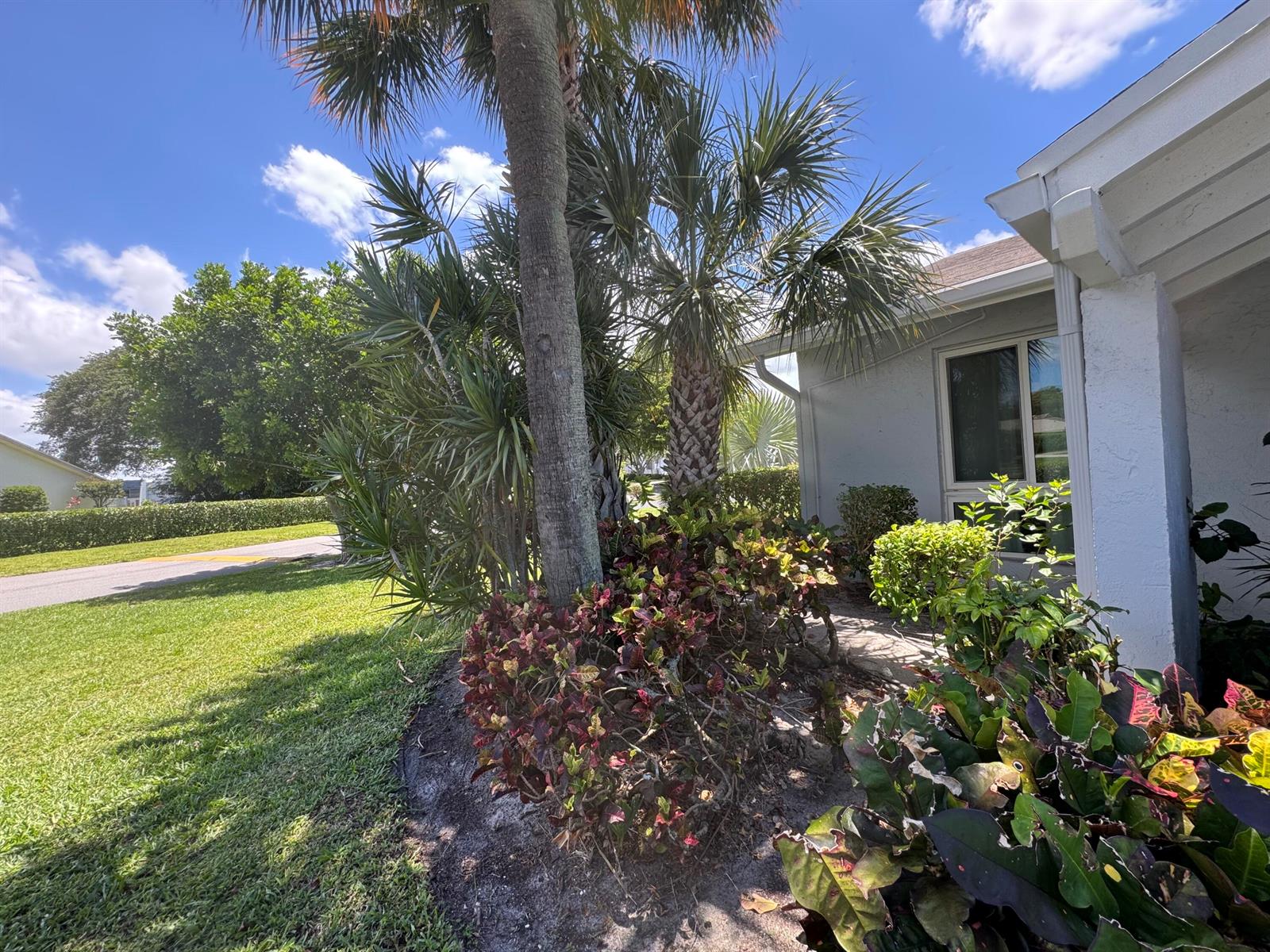 A palm tree and colorful shrubs grow in a garden bed beside a white house — 744 Lago Road # 1f, Delray Beach FL 33445, DELRAY BEACH, FL