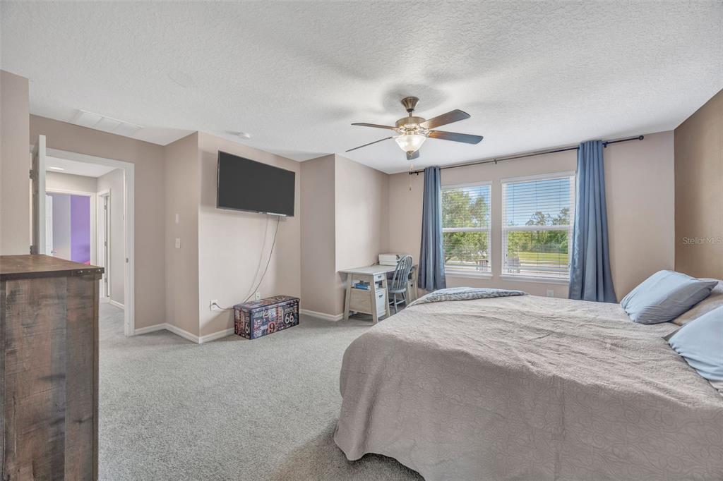 A bedroom with gray carpet, a ceiling fan, a wall-mounted television, and a desk — 5420 ANGELONIA TERRACE, LAND O LAKES, FL
