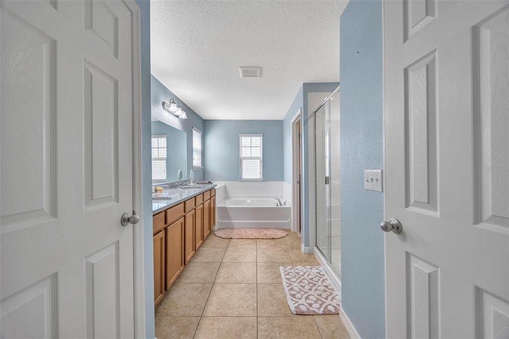 A bathroom features a double vanity, a soaking tub, and a glass-enclosed shower — 5420 ANGELONIA TERRACE, LAND O LAKES, FL