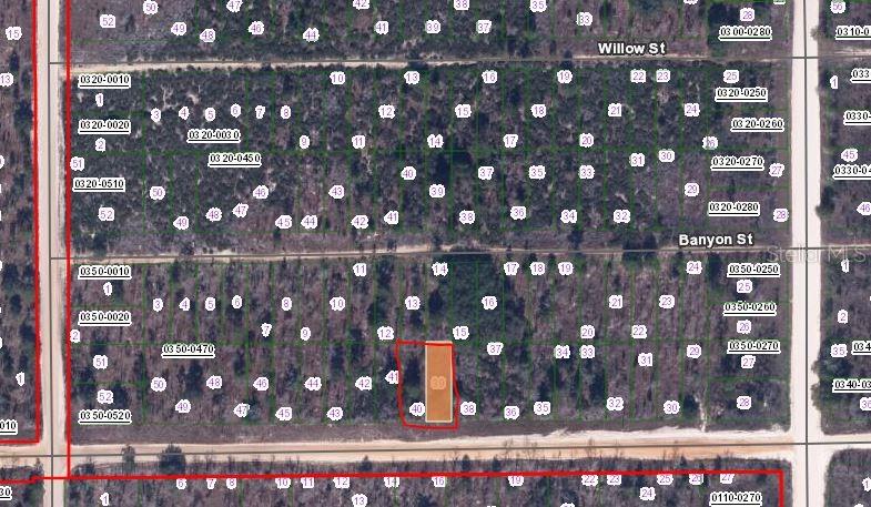00 MAIN STREET, INTERLACHEN, FL — photo 2 of 3