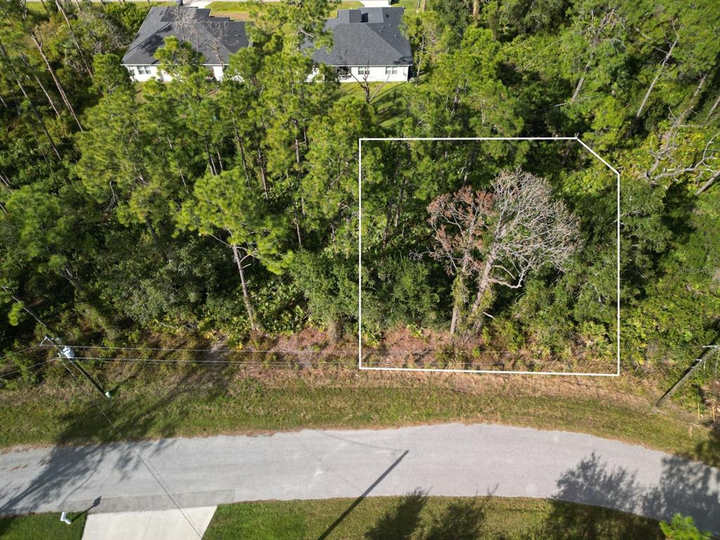 An aerial view shows a wooded, undeveloped residential lot outlined in white next to houses — 0 PLOVES ROAD, NORTH PORT, FL