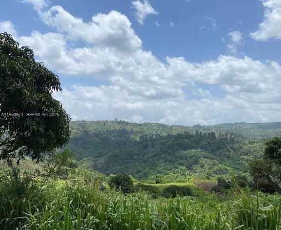 A view of a lush green hillside under a blue sky with scattered clouds — 1 Colleyville, Manchester, Jamaica, FL, FL