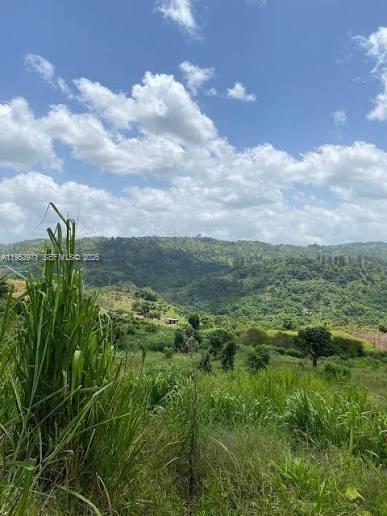 A grassy, sloping field overlooks a lush, mountainous landscape under a bright, cloudy sky — 1 Colleyville, Manchester, Jamaica, FL, FL