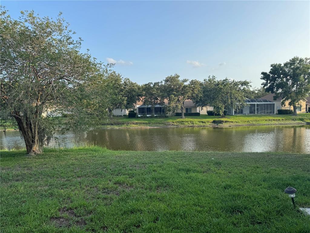 A grassy backyard overlooks a pond with houses and trees in the background — 10207 QUAILS LANDING AVENUE, TAMPA, FL
