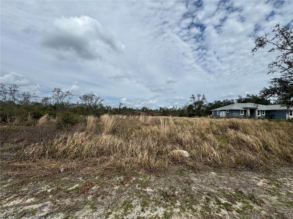 8500 SW AVIARY ROAD, ARCADIA, FL — photo 3 of 5