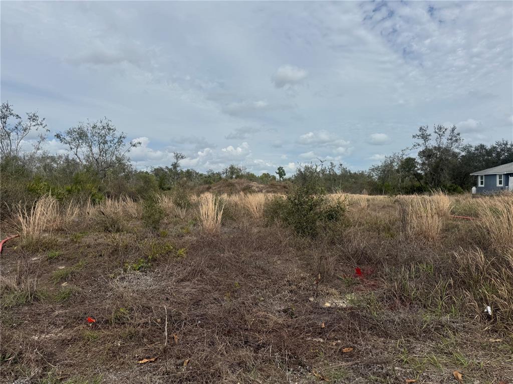 8500 SW AVIARY ROAD, ARCADIA, FL — photo 4 of 5
