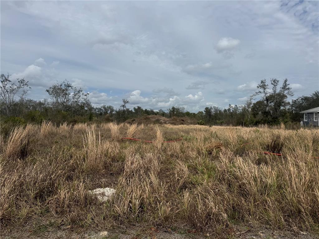 8500 SW AVIARY ROAD, ARCADIA, FL — photo 5 of 5