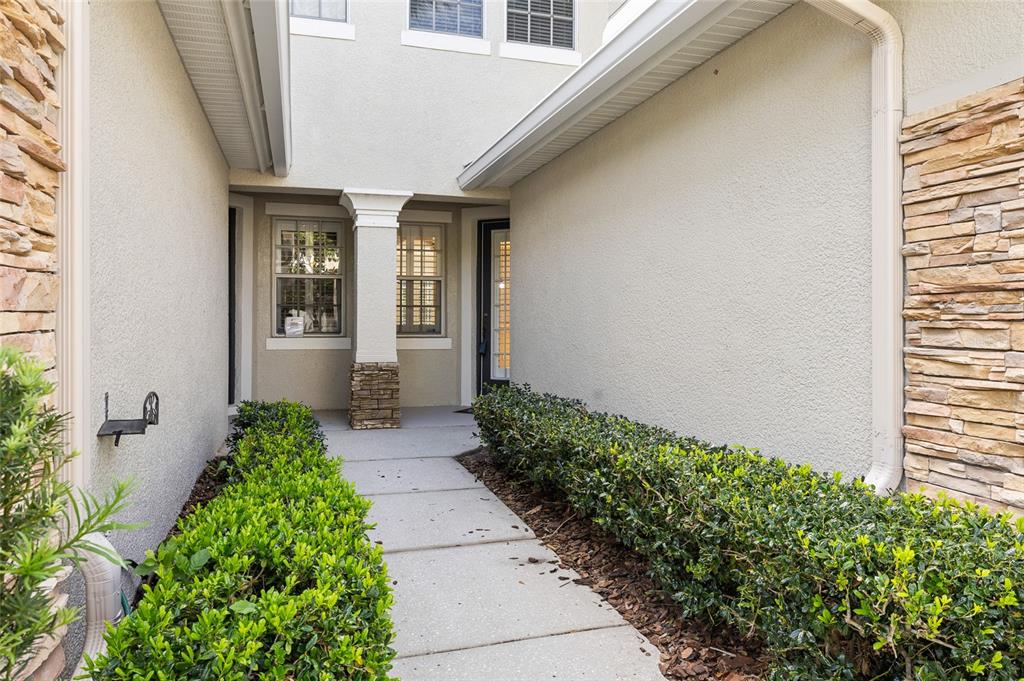 A concrete walkway leads to a covered entryway with stone accents and manicured green hedges — 14543 MIRABELLE VISTA CIRCLE, TAMPA, FL
