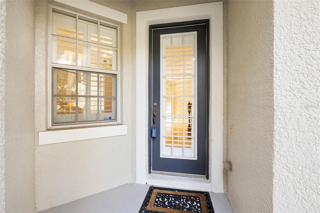 A dark gray front door with a glass insert sits beside a window with shutters — 14543 MIRABELLE VISTA CIRCLE, TAMPA, FL