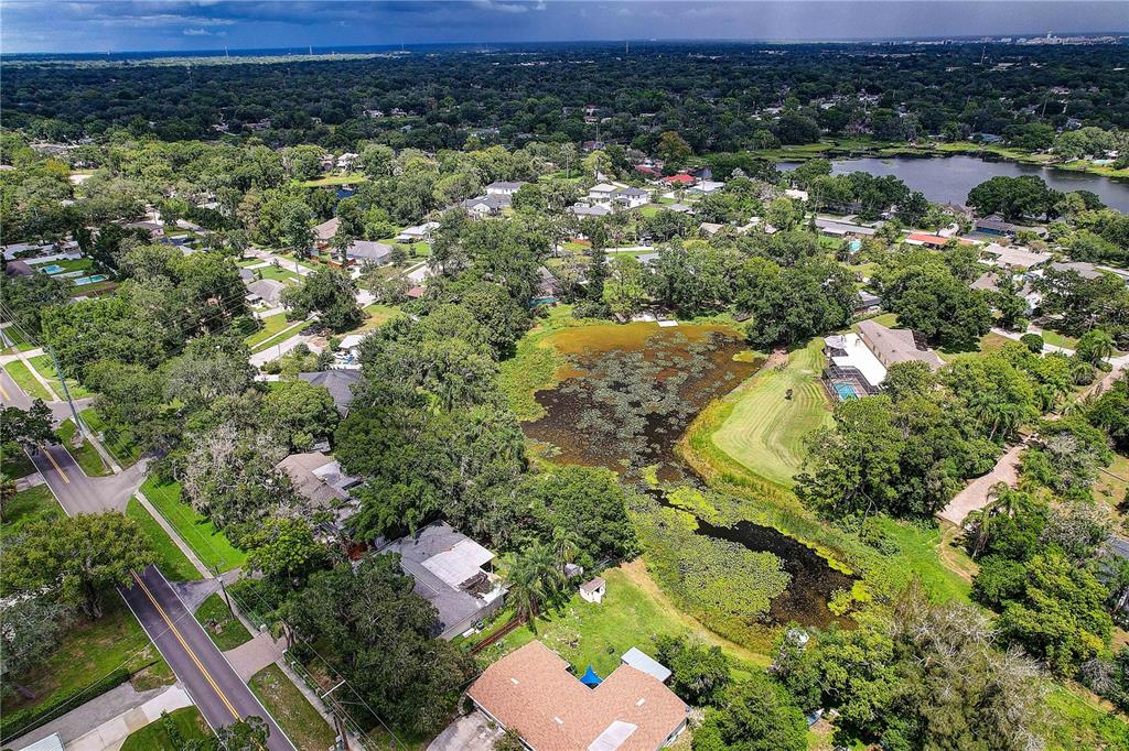 1508 ECKLES DRIVE, TAMPA, FL — photo 4 of 30
