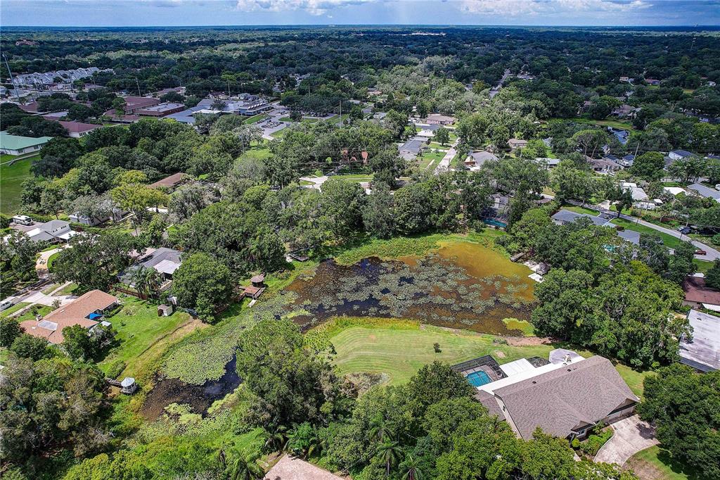 1508 ECKLES DRIVE, TAMPA, FL — photo 5 of 30
