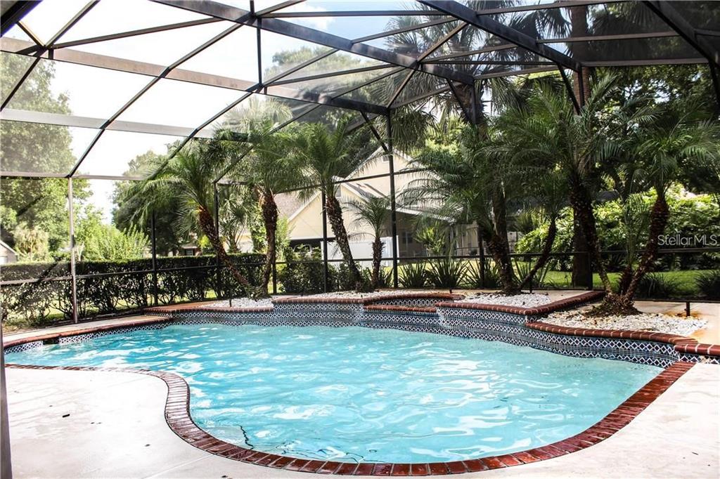 A screened-in swimming pool with a brick-trimmed edge and palm trees in the background — 2630 STANTON HALL COURT, WINDERMERE, FL