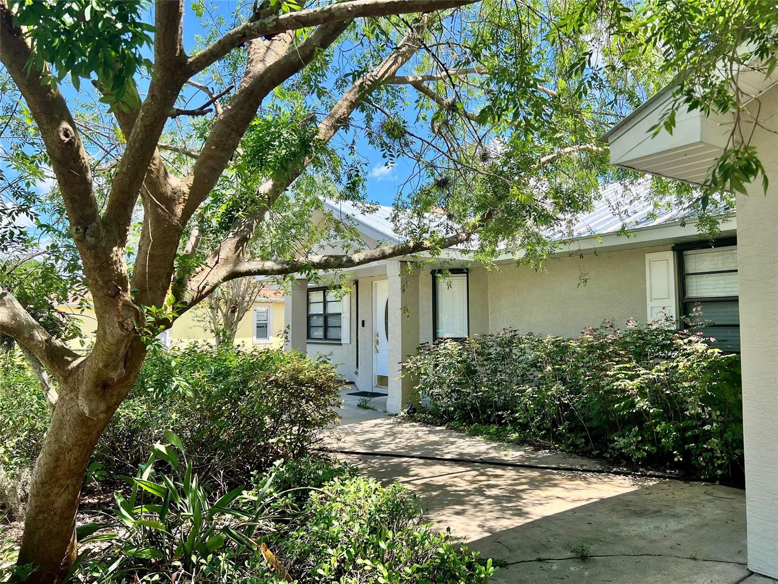 A single-story house with a white door, dark-framed windows, and a large tree in front — 352 SW 85th Avenue, Okeechobee FL 34974, OKEECHOBEE, FL