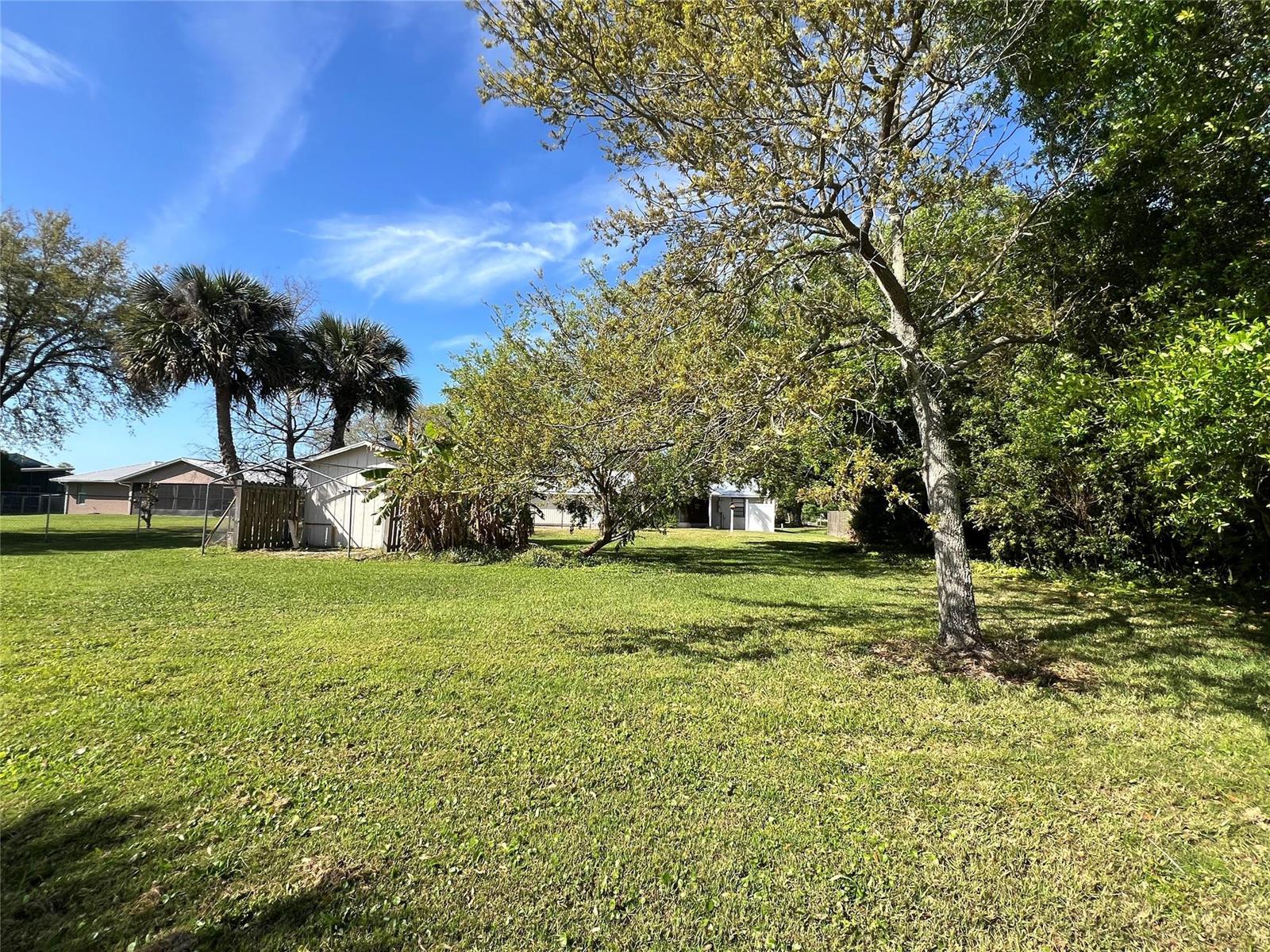 A grassy backyard features several trees, palm trees, and a small shed under a blue sky — 352 SW 85th Avenue, Okeechobee FL 34974, OKEECHOBEE, FL