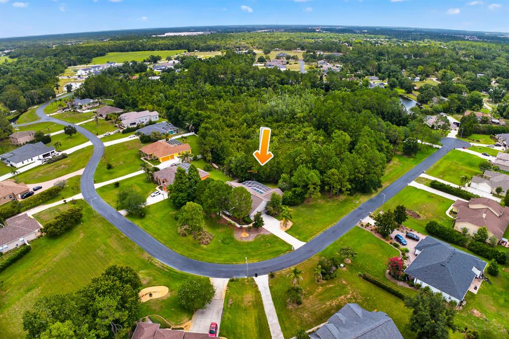 An aerial view shows a single-family home with a screened pool surrounded by dense woods — 6130 BRIDLEFORD DRIVE, WESLEY CHAPEL, FL