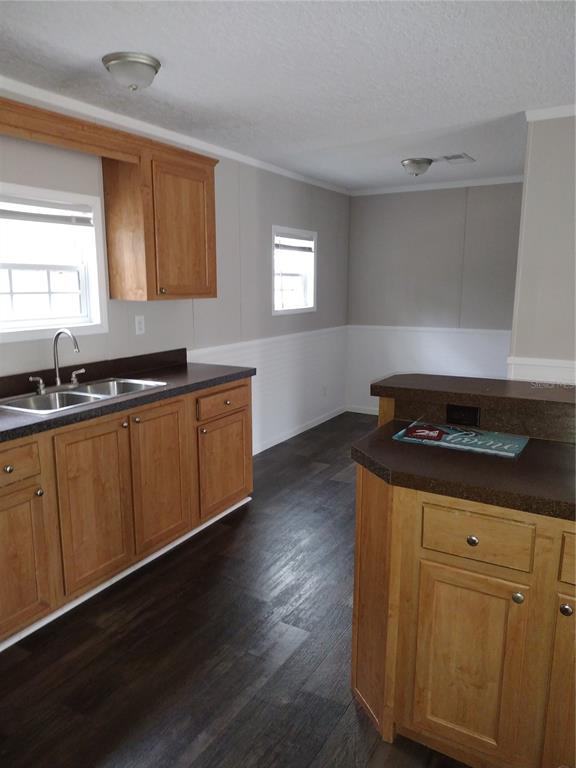 A kitchen features wood cabinets, dark countertops, a double sink, and dark wood-look flooring — 13144 SW 18TH STREET ROAD, OCALA, FL