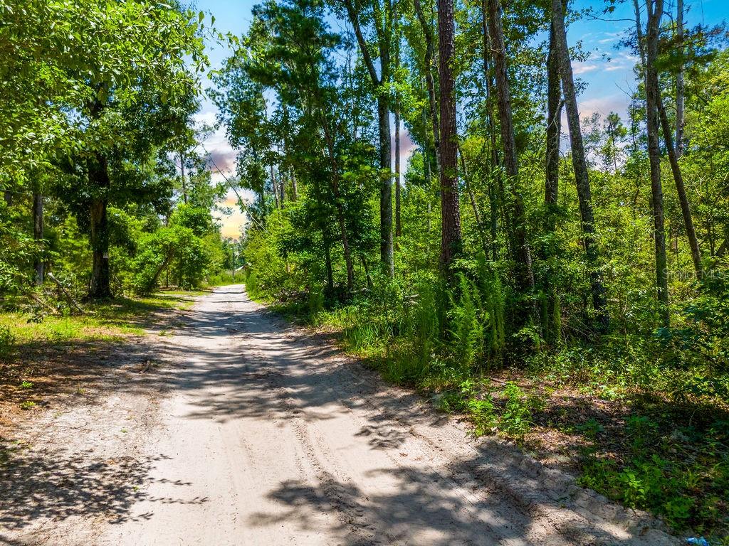 A dirt road winds through a wooded area with tall trees under a blue sky — 7679 NW 28TH STREET, JENNINGS, FL