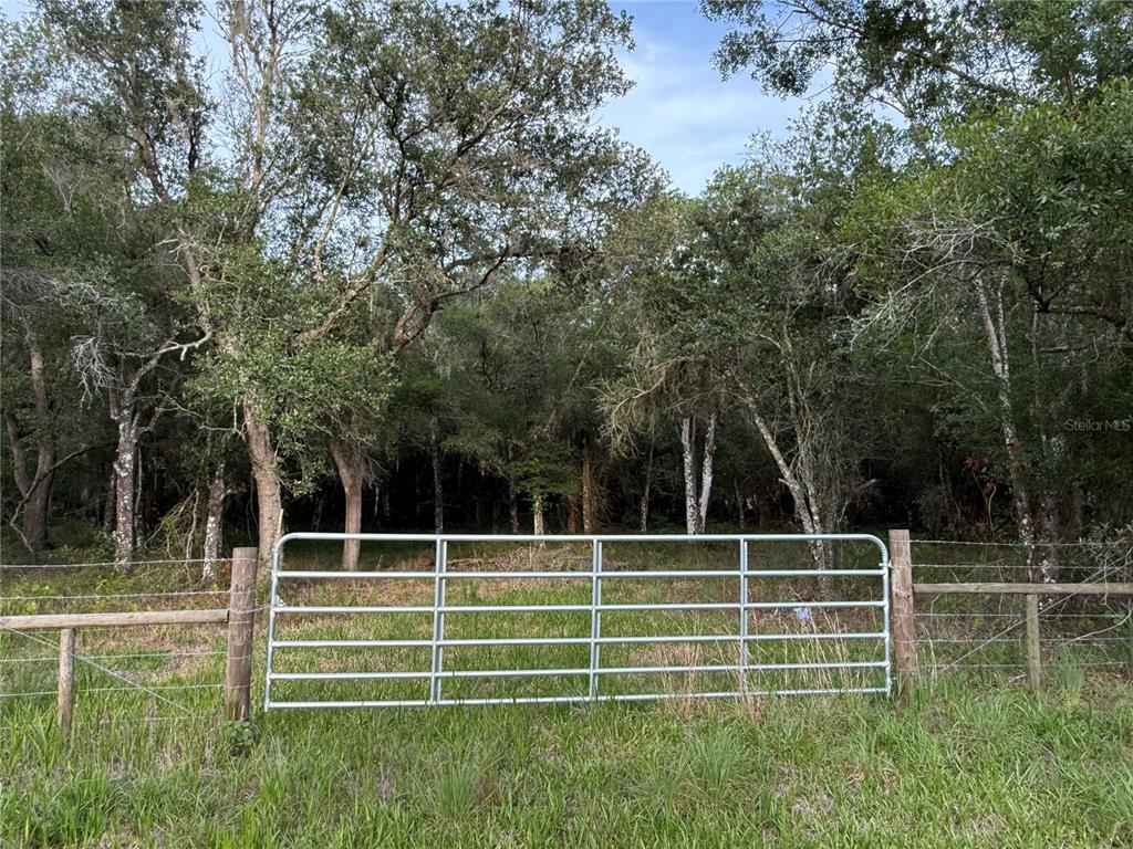 A metal gate stands in a wire fence in front of a wooded area — SE BROWN ROAD, ARCADIA, FL