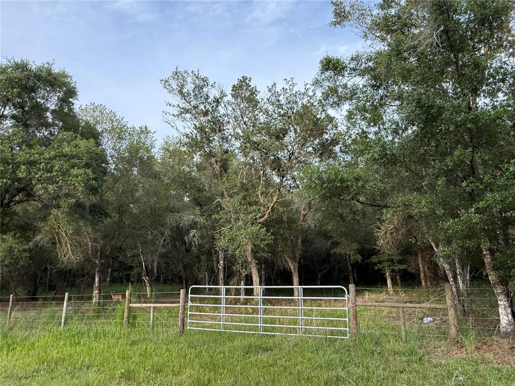 A metal gate stands in a wire fence in front of a wooded area — SE BROWN ROAD, ARCADIA, FL