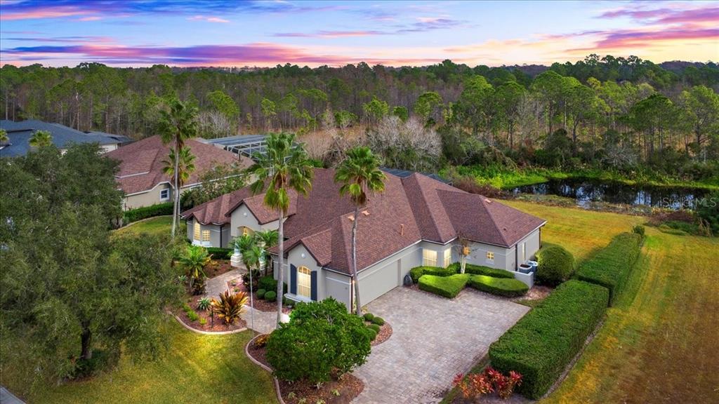 37 LIONSPAW GRAND