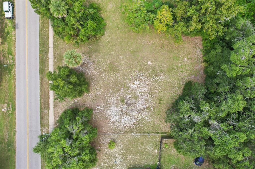 An aerial view shows a vacant, grassy rectangular lot bordered by trees and a paved road — 847 PALMETTO STREET, EUSTIS, FL