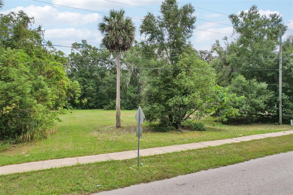 A vacant, grassy lot features a single palm tree and mature trees under a cloudy sky — 847 PALMETTO STREET, EUSTIS, FL