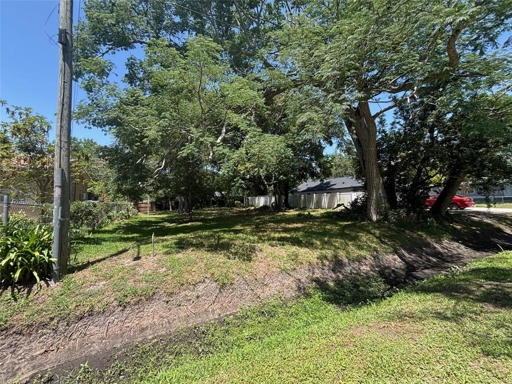 A grassy, tree-filled vacant lot sits adjacent to a drainage ditch and a utility pole — 9674 8TH AVENUE, ORLANDO, FL