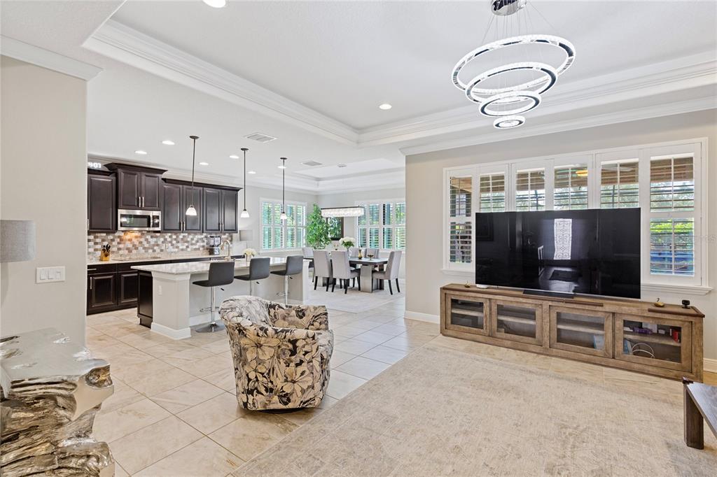 An open-concept living area features a kitchen with dark cabinets, a dining space, and a television — 743 WELLINGTON COURT, OLDSMAR, FL