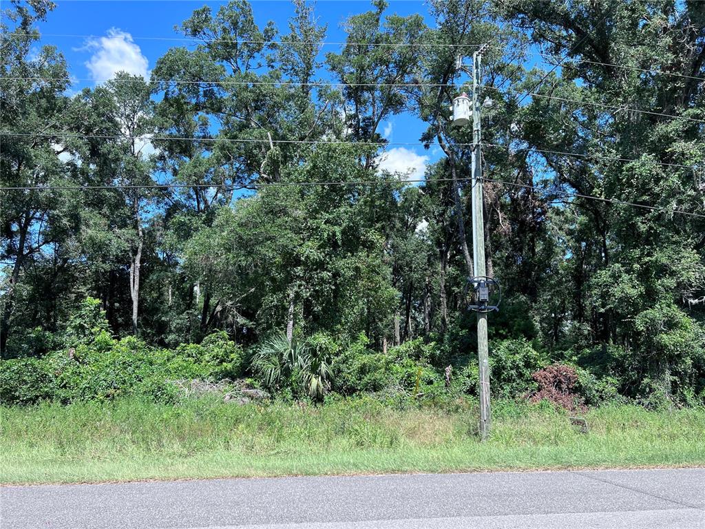 A utility pole stands in front of a densely wooded lot next to a paved road — 00 NW 90TH COURT, FANNING SPRINGS, FL