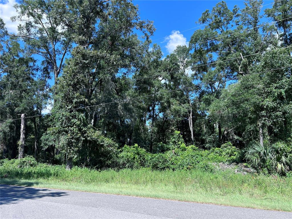 A paved road runs in front of a dense, wooded lot under a blue sky — 00 NW 90TH COURT, FANNING SPRINGS, FL