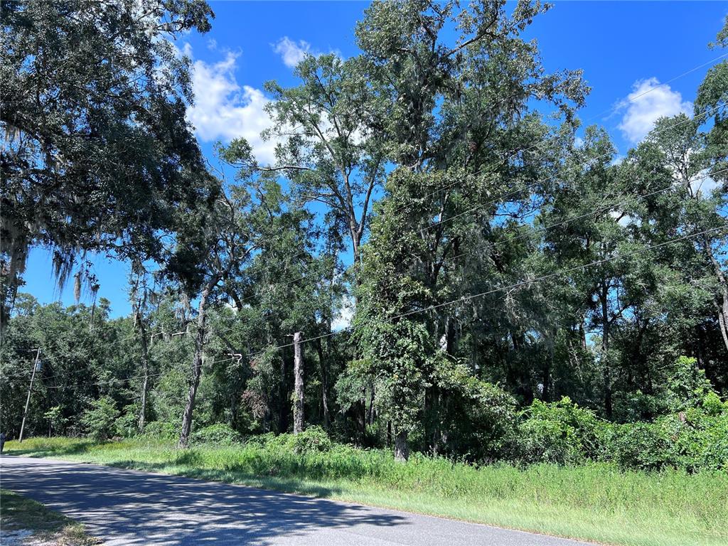 A paved road runs alongside a wooded lot with tall trees and overhead power lines — 00 NW 90TH COURT, FANNING SPRINGS, FL