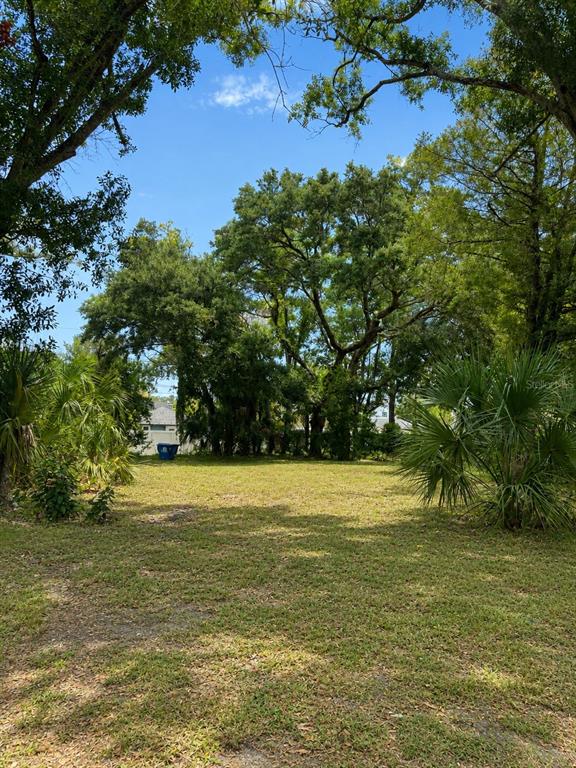 A grassy, vacant lot is framed by mature trees and palm trees under a blue sky — 2751 3RD AVENUE S, ST PETERSBURG, FL
