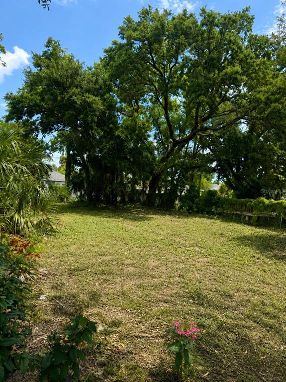 A grassy backyard features a large, mature tree canopy and surrounding foliage — 2751 3RD AVENUE S, ST PETERSBURG, FL