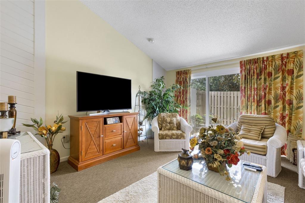 A living room features a television on a wooden console, wicker furniture, and sliding glass doors — 4223 OAK LOOP UNIT 49, MULBERRY, FL